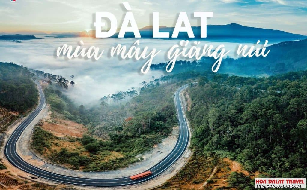 Nên chọn tour săn mây nào ở Đà Lạt