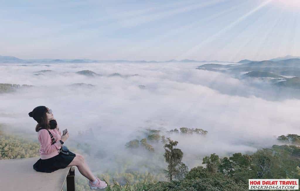 Săn mây Đà Lạt 1 ngày