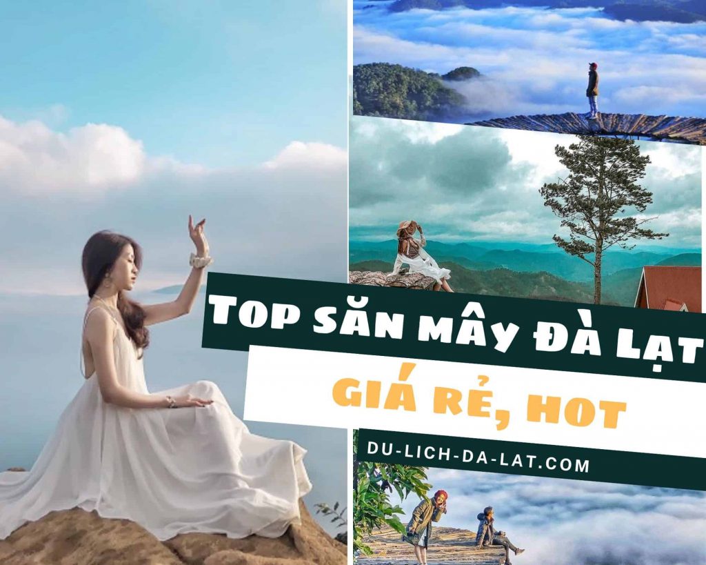 Tour săn mây Đà Lạt