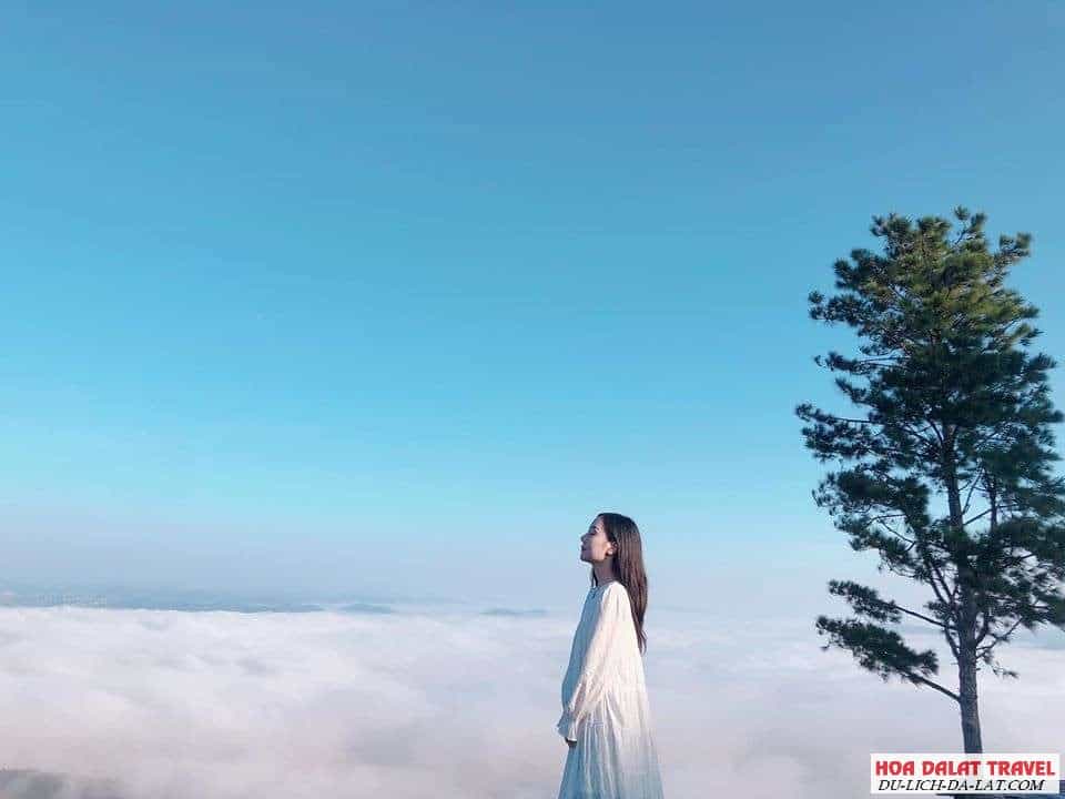 Tour săn mây ngắm bình minh Đà Lạt