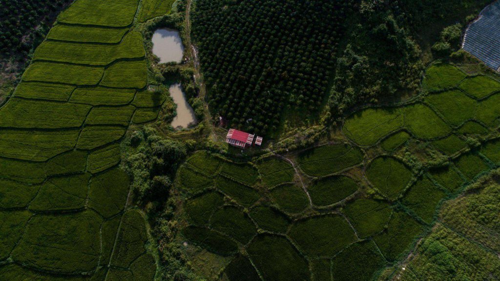 Vị trí địa lý đức trọng