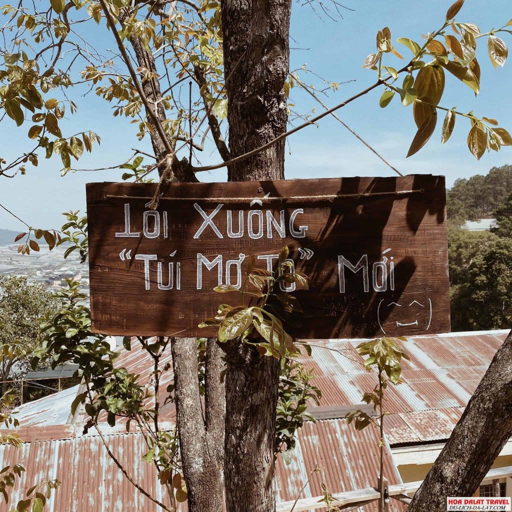 Đường đi quán cafe túi mơ to
