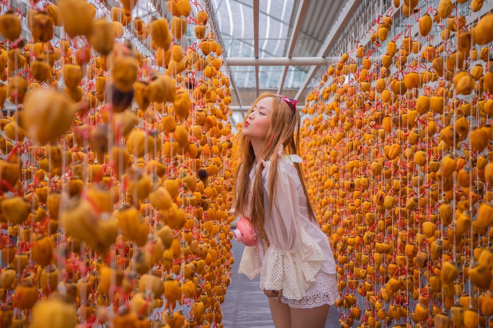 địa điểm mua hồng treo đà lạt