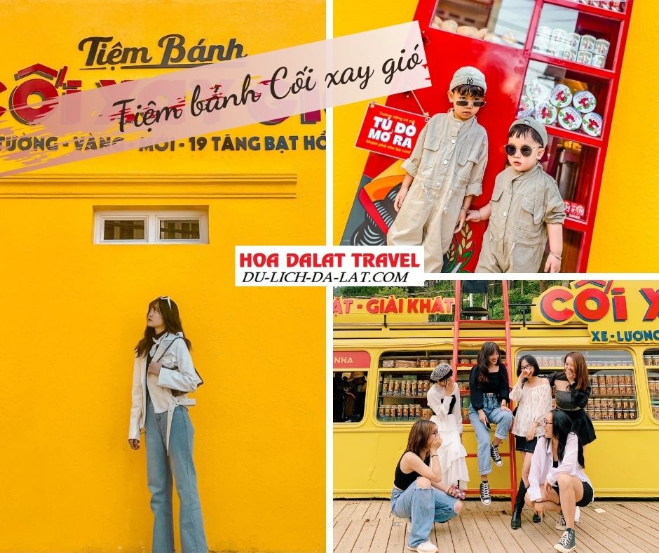 Bức tường vàng tiệm bánh cối xay gió
