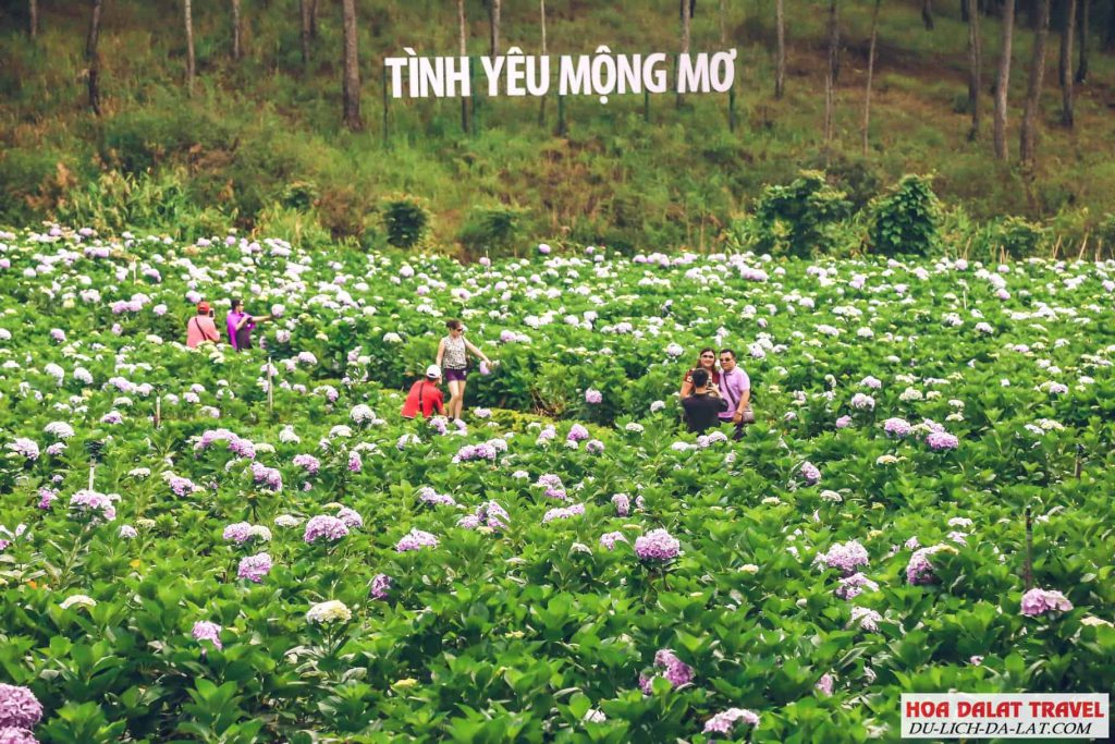 Khu du lịch tình yêu mộng mơ