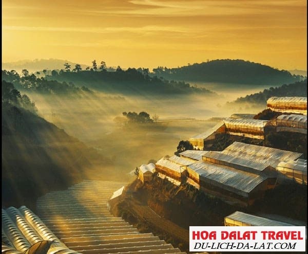 Trại mát Đà Lạt