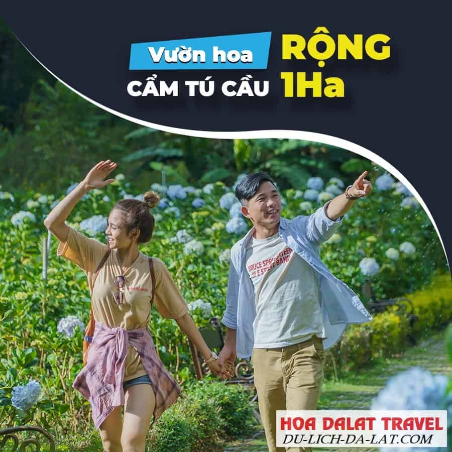 Vườn hoa cẩm tú cầu ở Thung Lũng Tình Yêu