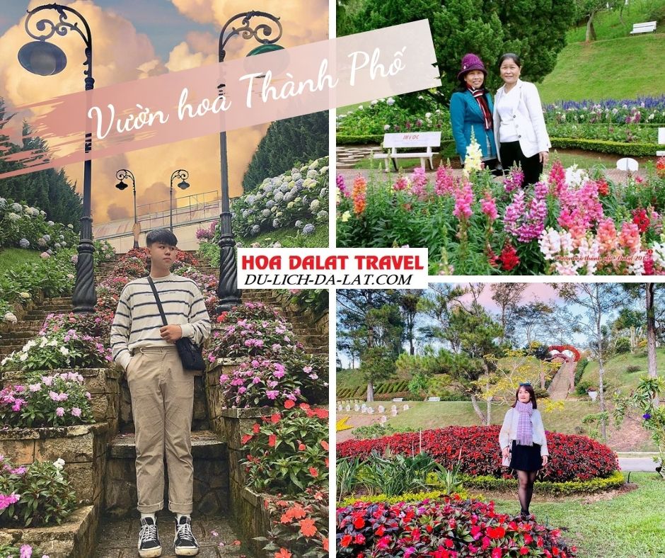 Vườn hoa Đà Lạt