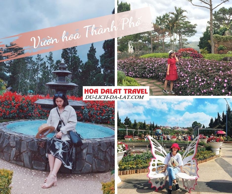 Vườn hoa thành phố Đà Lạt