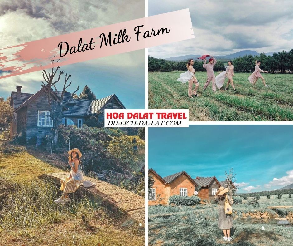 Dalat Milk