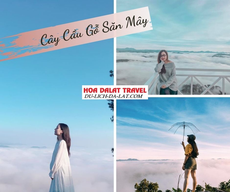 Địa điểm săn mây ở Đà Lạt