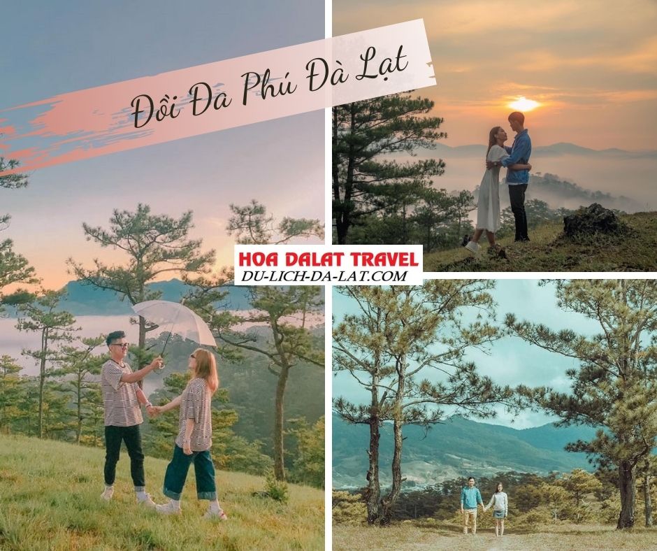 Đồi Đa Phú Đà Lạt