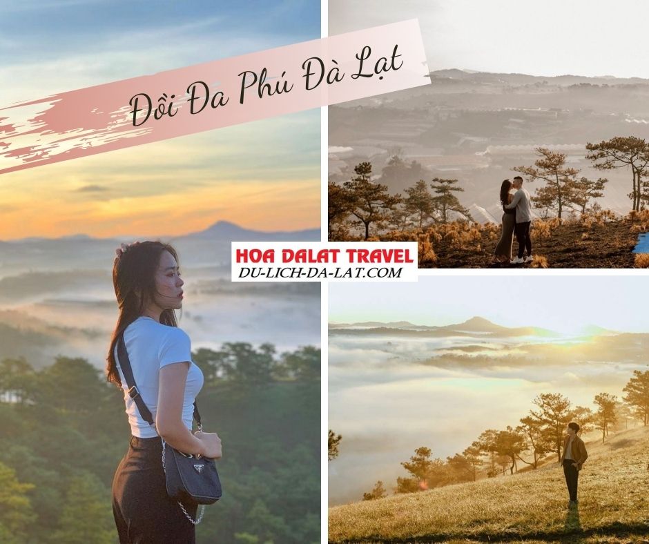 Đồi Đa Phú ở Đà Lạt