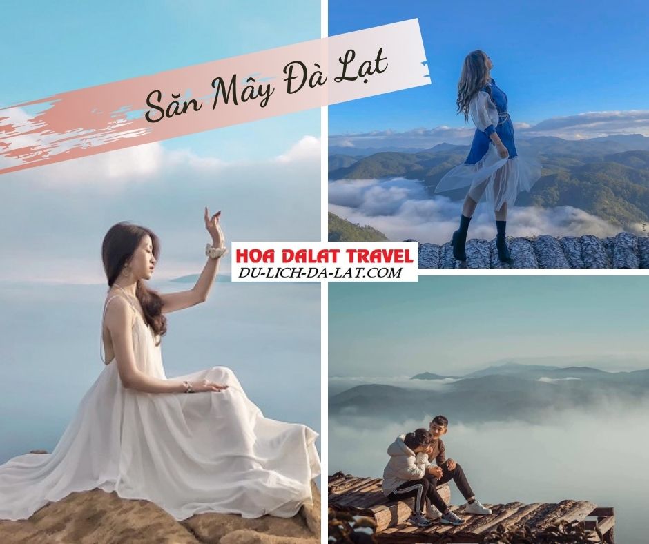Săn mây Đà Lạt