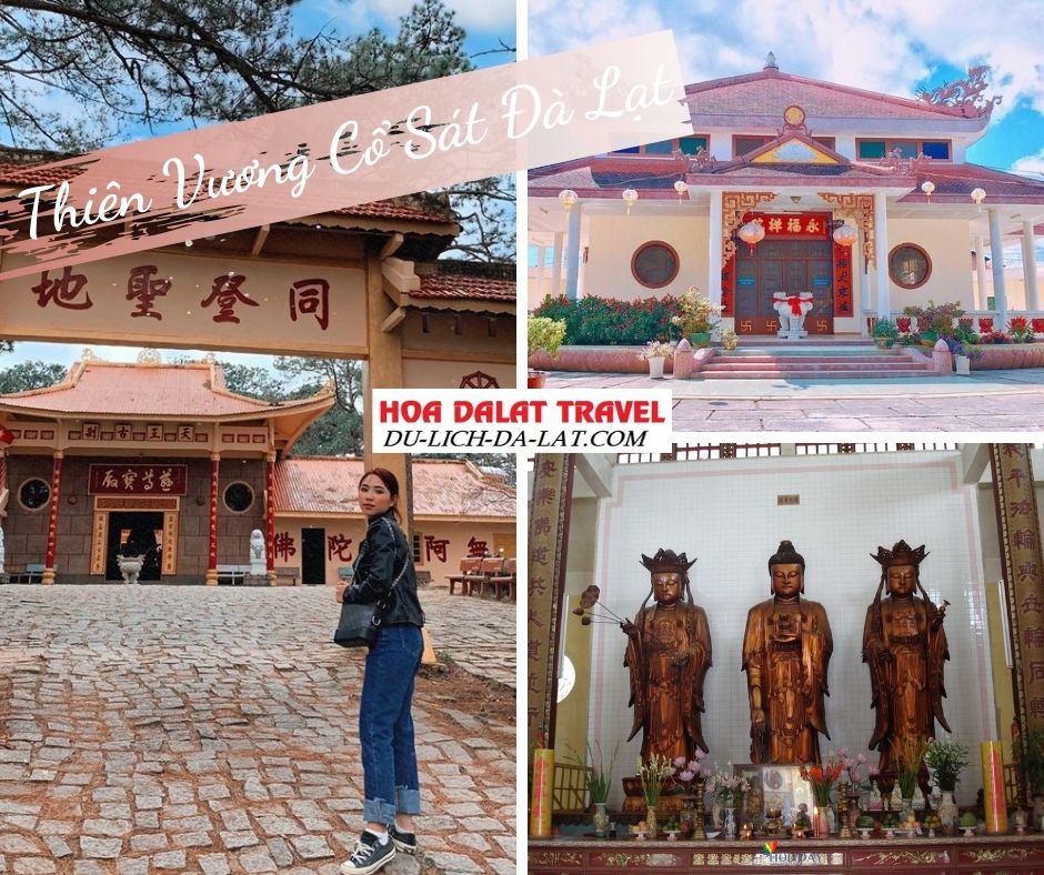 Thiên vương cổ sát Đà Lạt