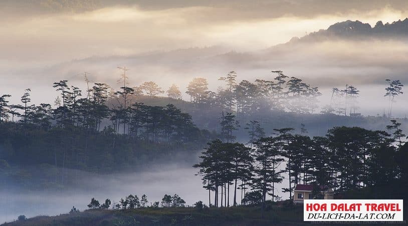 Ảnh Đà Lạt