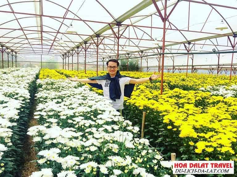 Ảnh đẹp Làng Hoa Vạn Thành