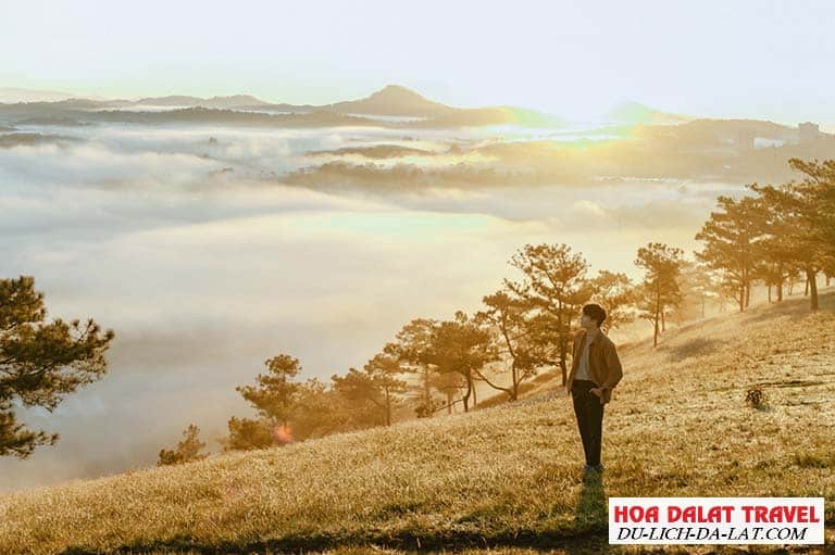 Cảnh Đà Lạt đẹp