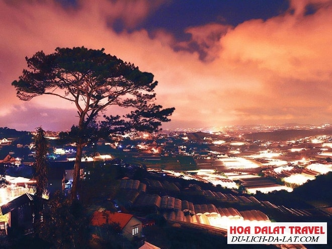 Cảnh về đêm ở Đà Lạt