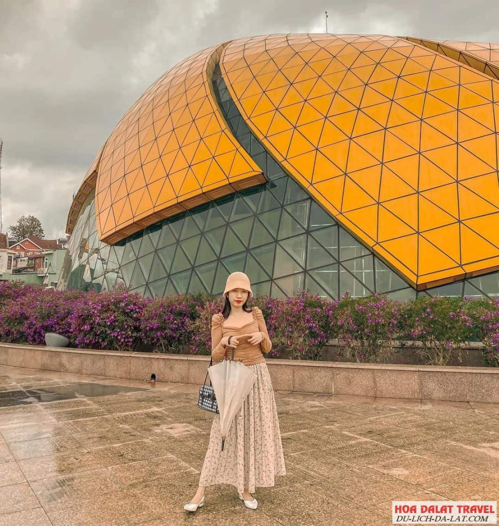Bông hoa dã quỳ khổng lồ