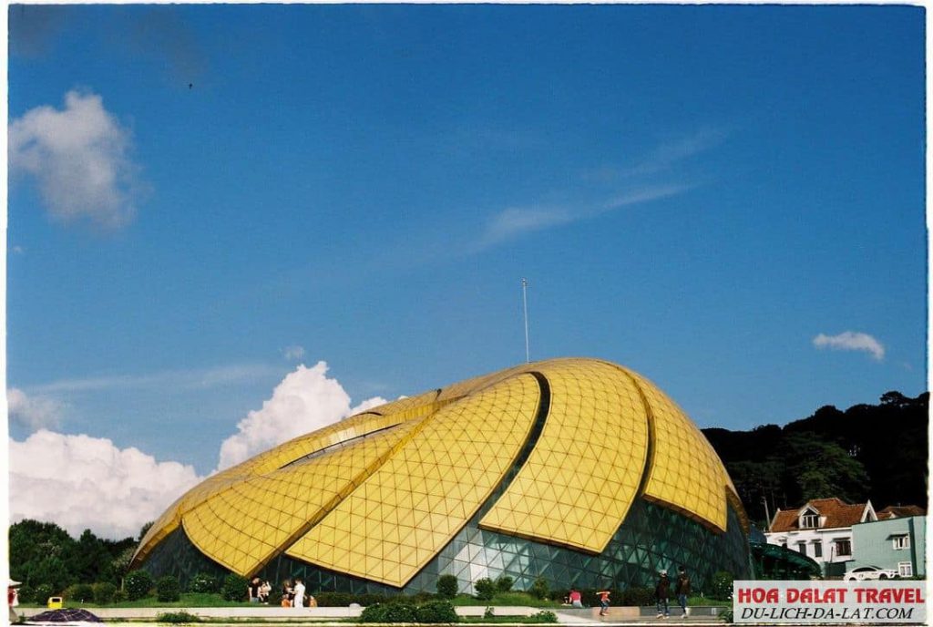 Bông hoa dã quỳ khổng lồ ở Quảng trường