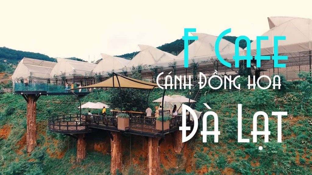 Cafe F Cánh đồng hoa Đà Lạt