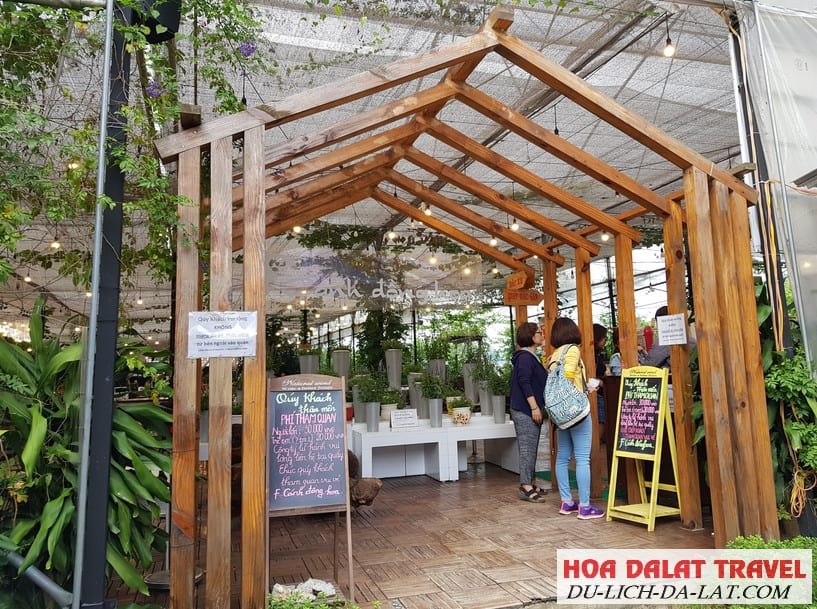 Cafe F cánh đồng hoa địa chỉ Đà Lạt