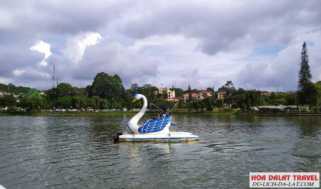Đạp vịt trên hồ Xuân Hương