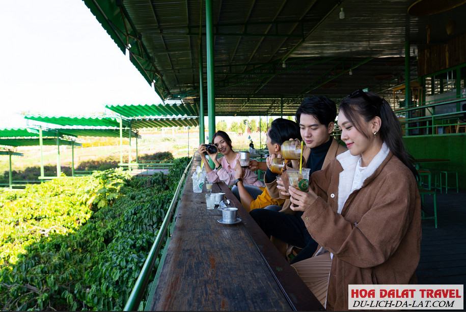 Điều gì khiến Cafe Mê Linh Đà Lạt đông khách