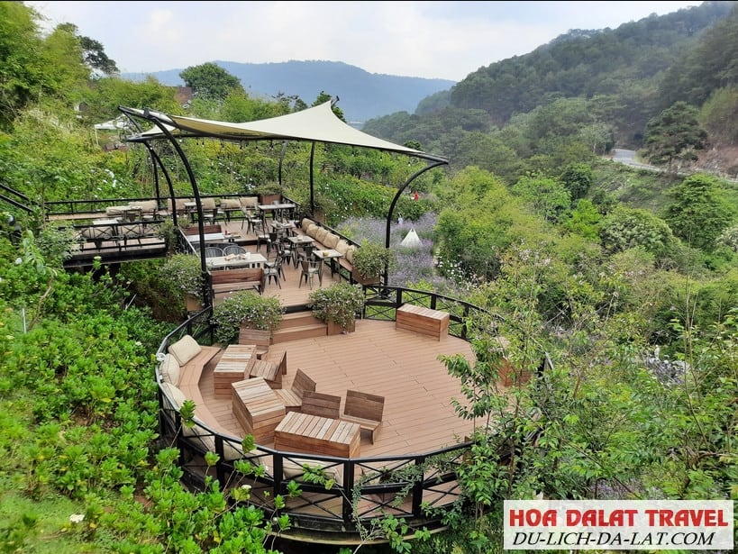 Đôi nét về Cafe F cánh đồng hoa Đà Lạt