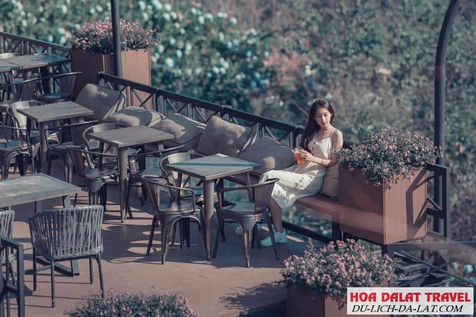 Đôi nét về Cafe F cánh đồng hoa - Khung cảnh