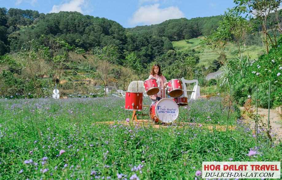 F cánh đồng hoa có gì - Đà Lạt
