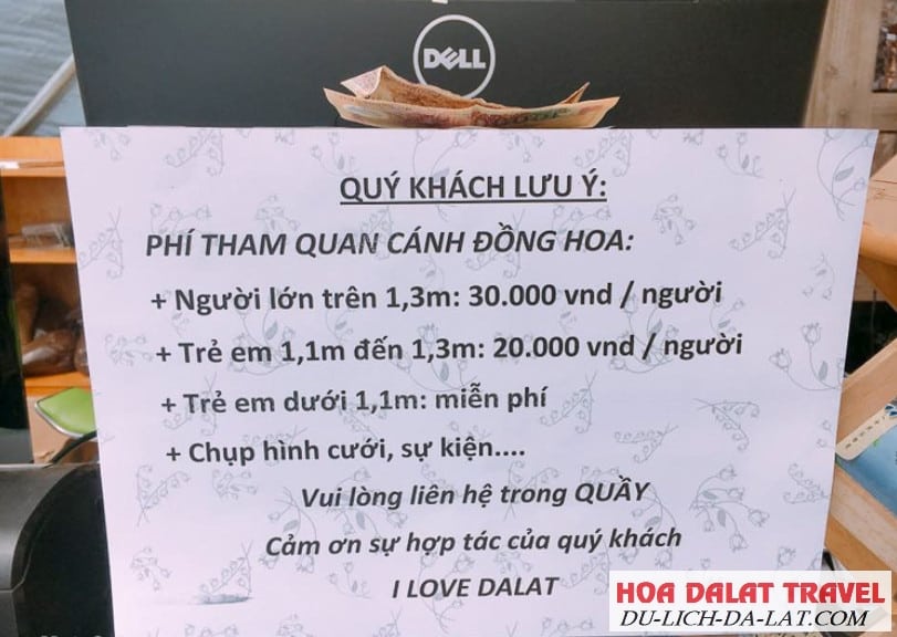 Giá vé F cánh đồng hoa Đà lạt