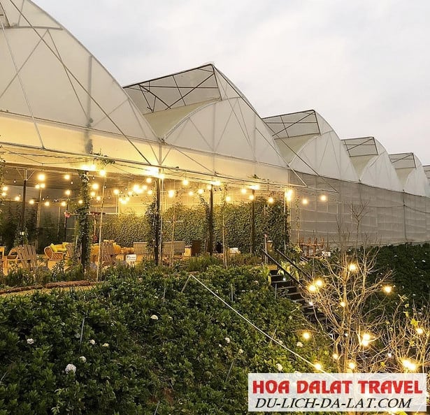 Giới thiệu F cánh đồng hoa - Đà lạt