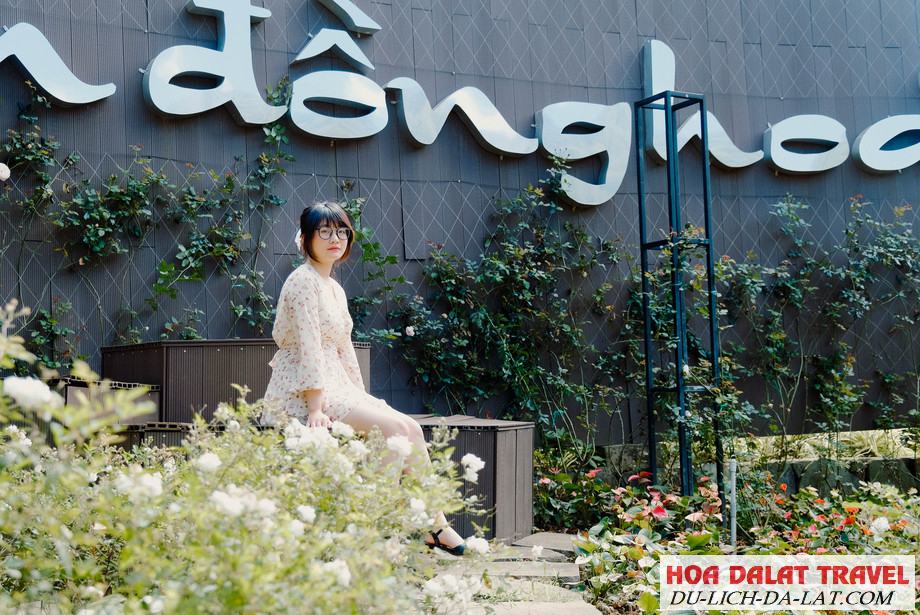 Giới thiệu F cánh đồng hoa Đà lạt