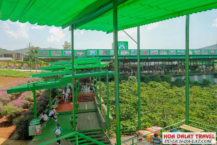 Giới thiệu về quán Cafe Mê Linh