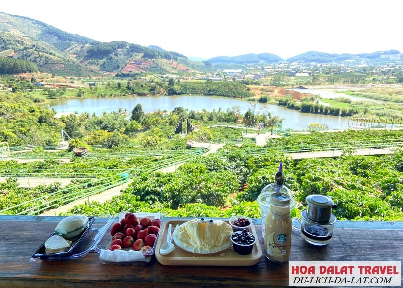 Khu uống Cafe ngắm toàn cảnh 360