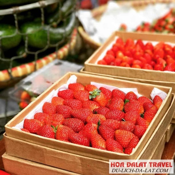 Nông sản và hoa quả tươi