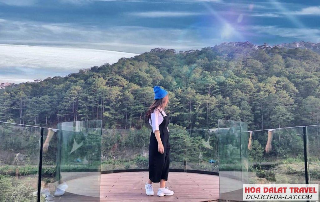 Review F cánh đồng hoa