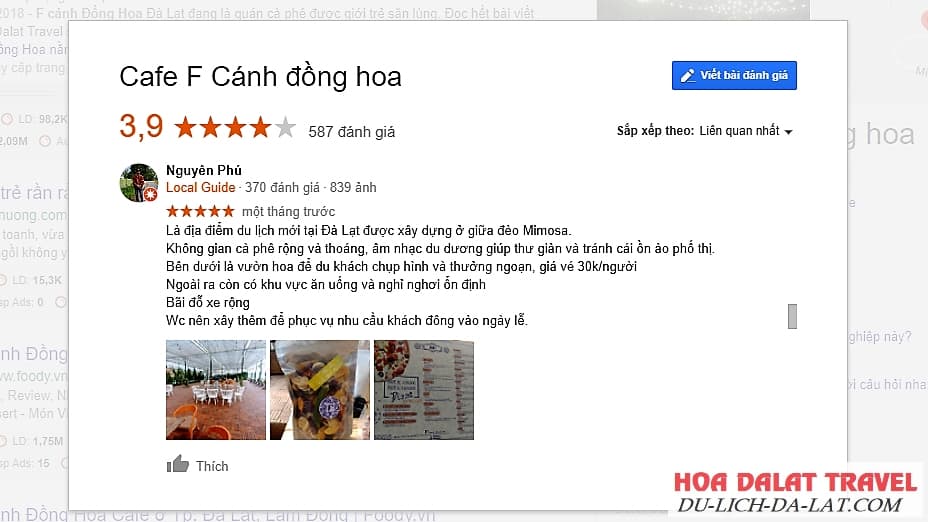 Review F cánh đồng hoa Đà Lạt