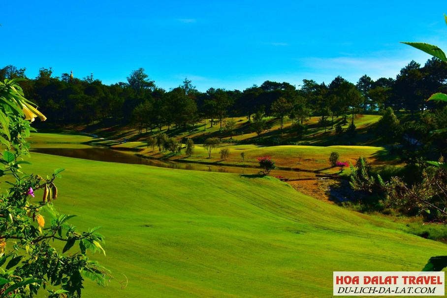 Sân golf Đồi Cù