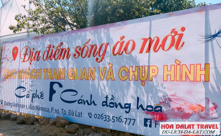 Số điện thoại F cánh đồng hoa Đà lạt