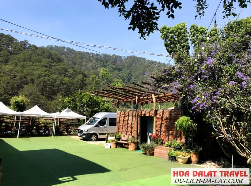 Tour F cánh đồng hoa Đà Lạt