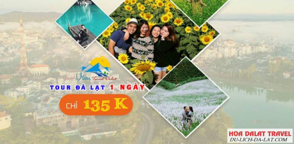 Tour nhà thờ Domaine De Marie