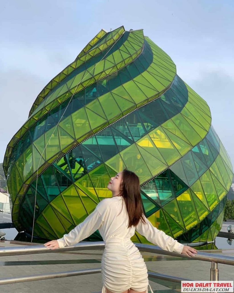 Bông hoa Atiso ở Quảng trường