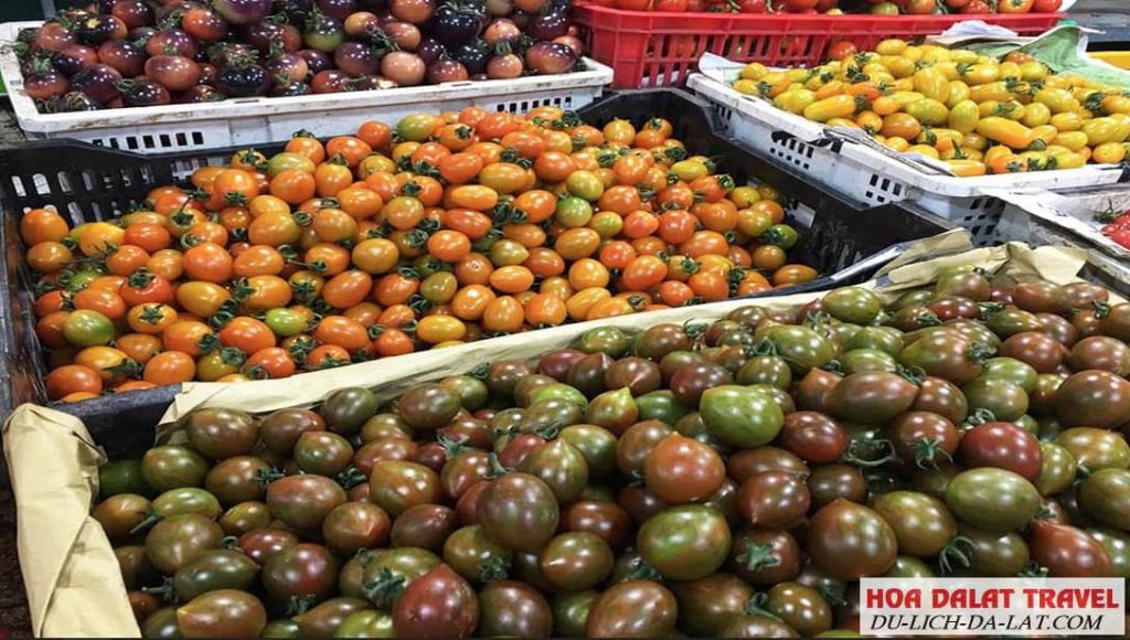 Các vựa trái cây chợ Đà Lạt