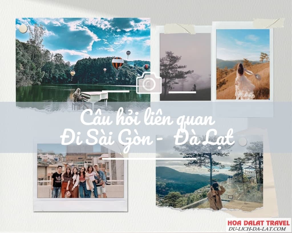 Câu hỏi liên quan trong chuyến đi