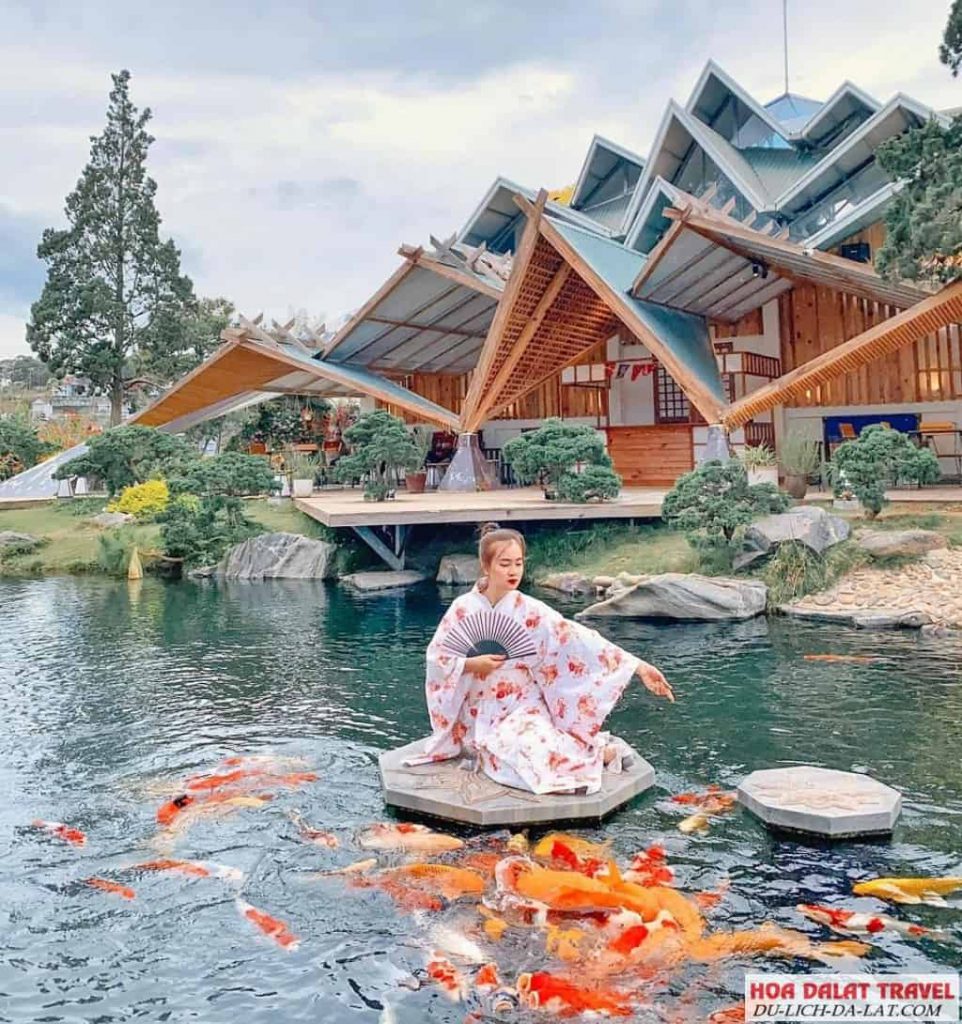 Check in đẹp ngất ngây con gà tây