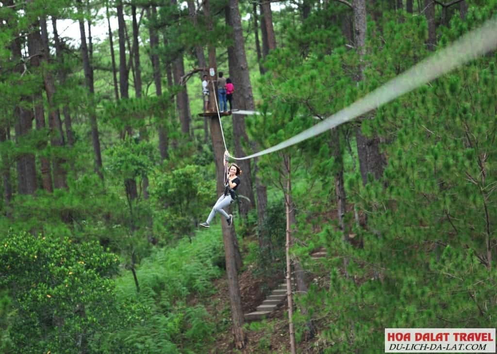 Chơi Zipline