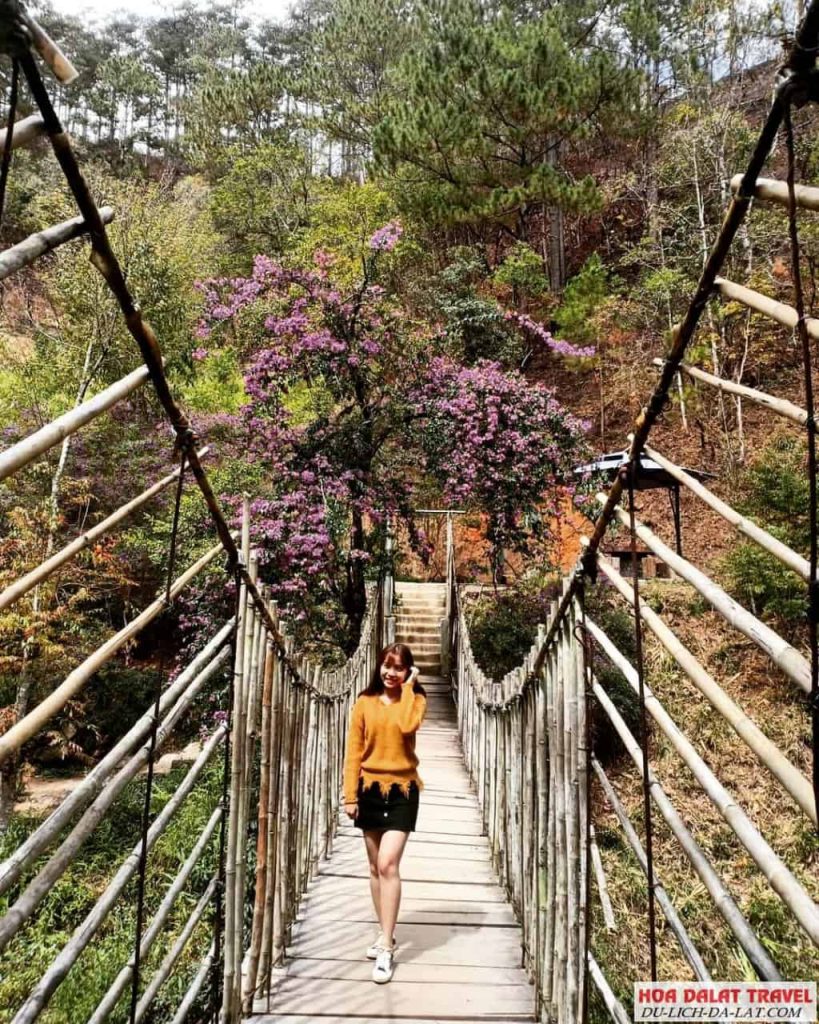 Chơi gì hay ở Ma Rừng Lữ Quán